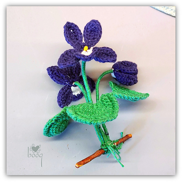 Viola flower