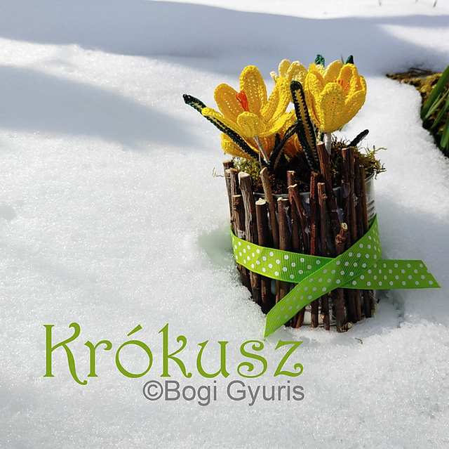 Crocus