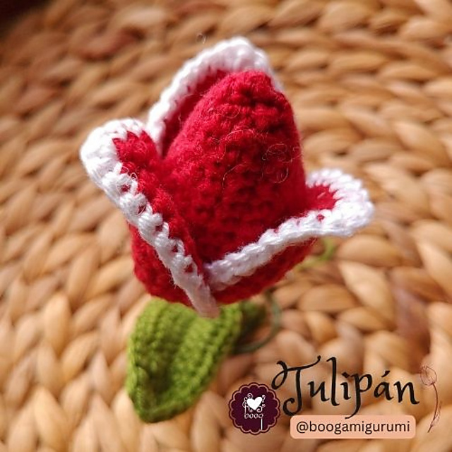 Tulip