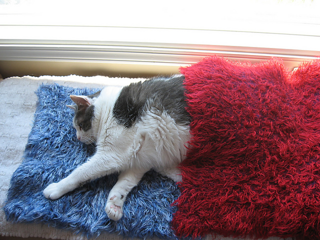 Felted Critter Cozy