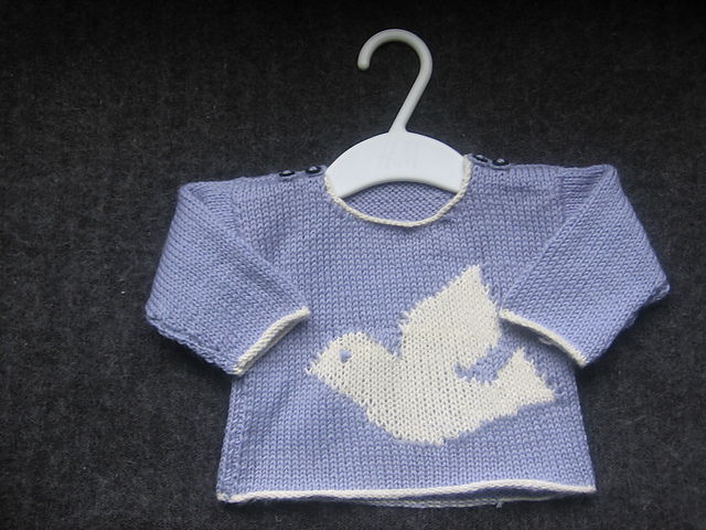 Pull Colombe