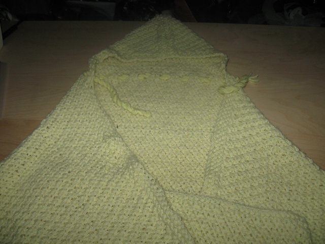 Infant Seat Hooded Wrap