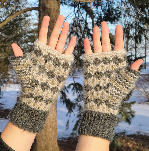 CYOA 6-in-1 Mittens