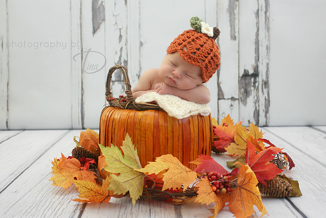Pumpkin Patch Prop Set