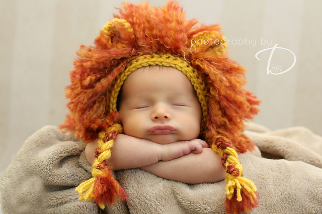 Lion Mane Bonnet