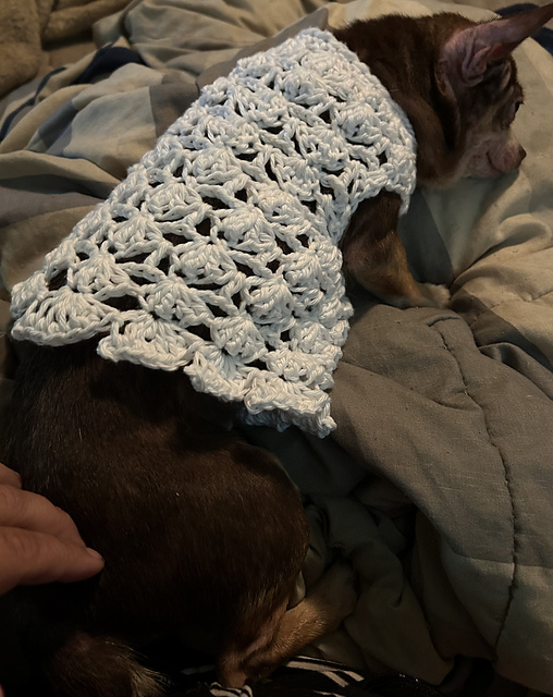Dog dress