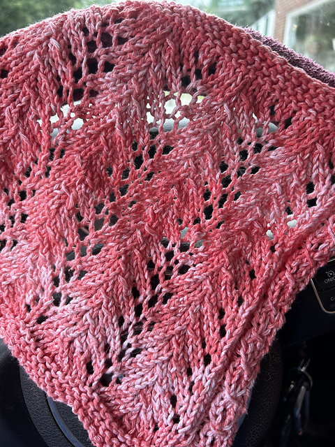 ODESSA Dishcloth