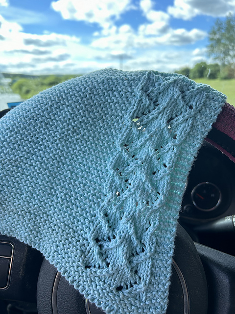 Up a Creek dishcloth