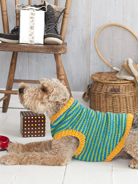 #29 Doggie Coat