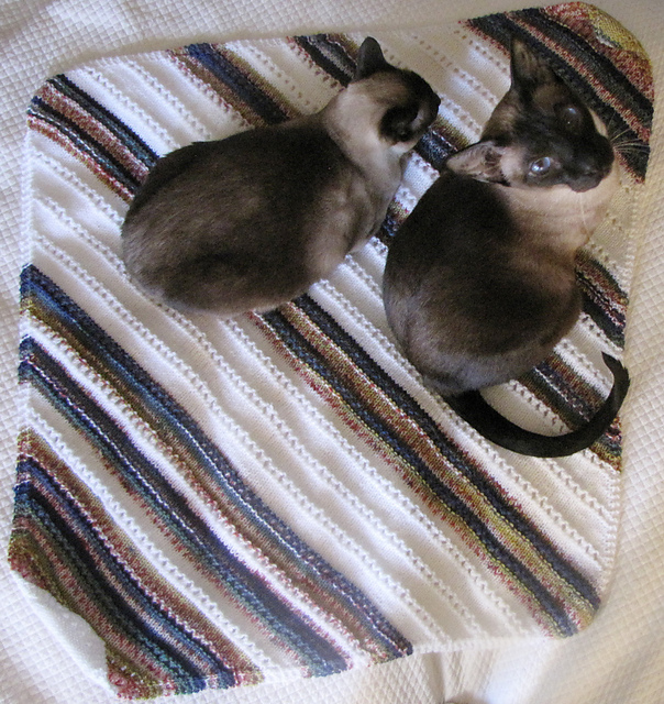 Marilou Bias Baby Blanket