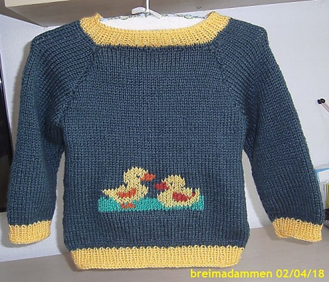 Duck Sweater