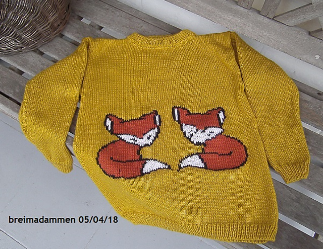 Foxes Sweater
