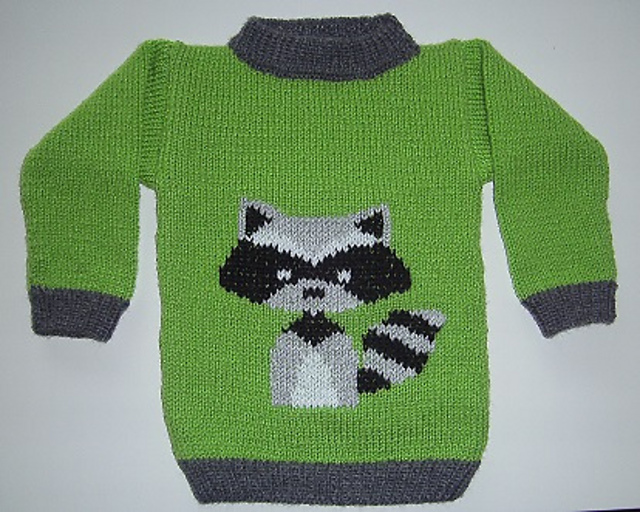 Raccoon / Wasbeertje