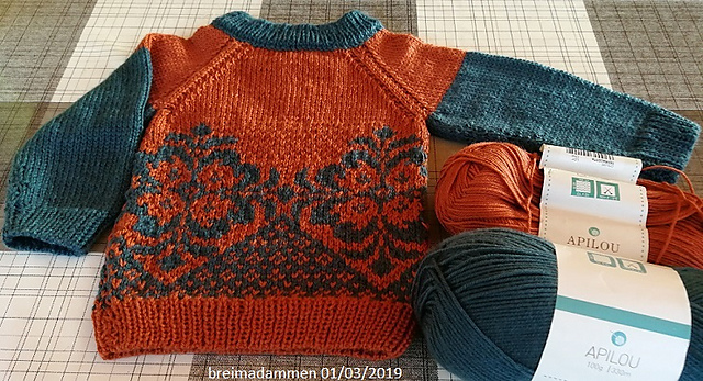Jacquard Truitje met Raglan