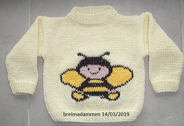 Honey Bee pullover