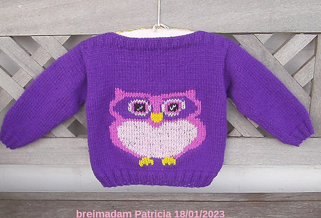 Owl Sweater 2