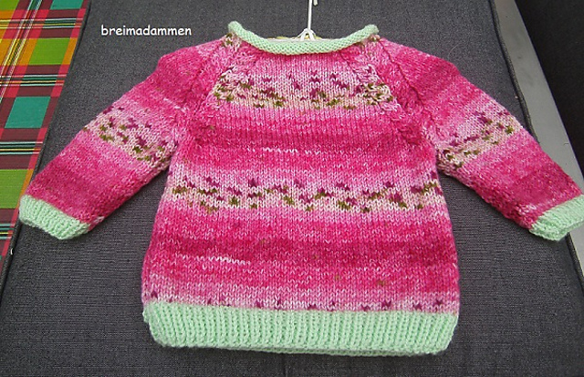 Truitje met raglan