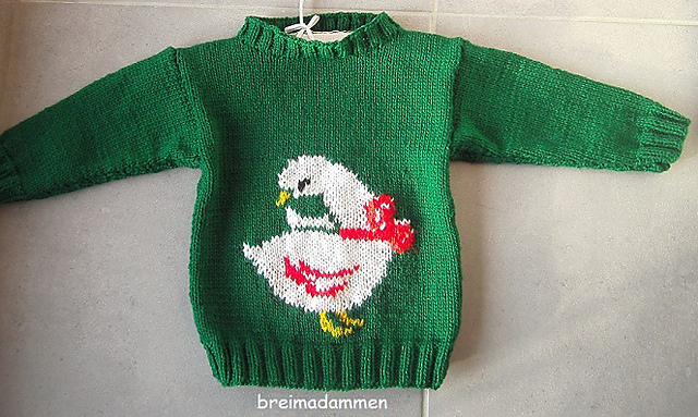 Ganzetruitje