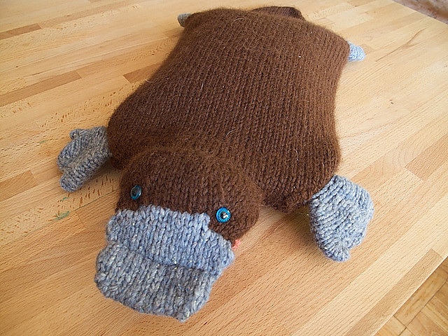 Hot Water Platypus