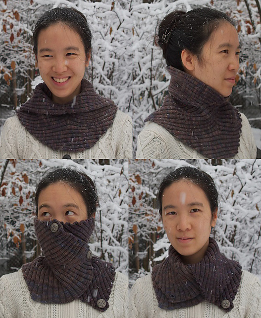 One Size, Two Ways Neck Warmer