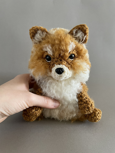 Pomeranian Pup