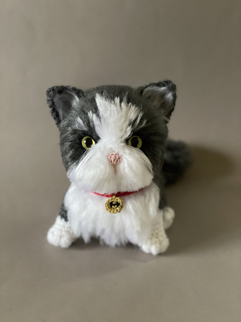 Fluffy Cat