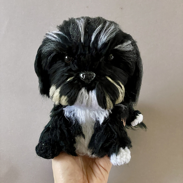 Shih Tzu Pup