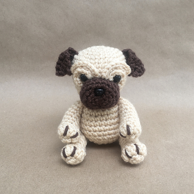 Pug Puppy