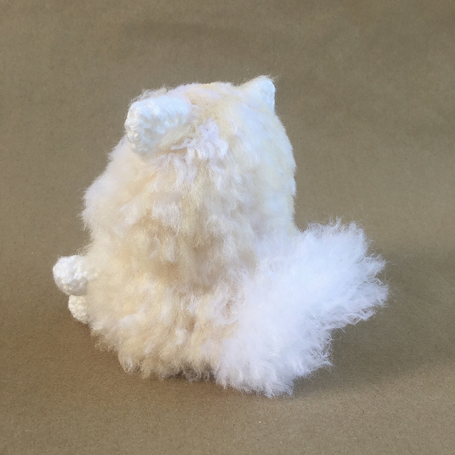 Pomeranian Dog