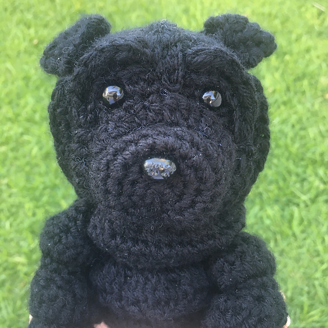 Sharpei Dog