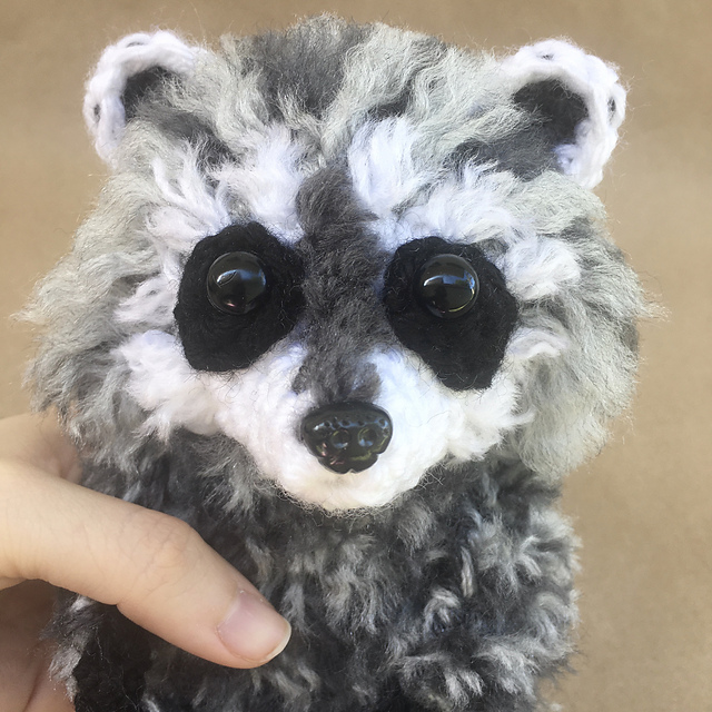 Baby Raccoon