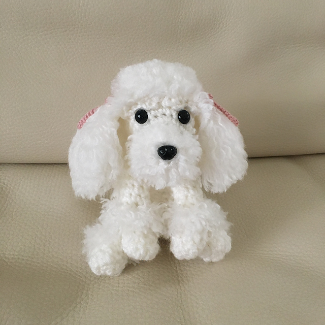 Baby Poodle