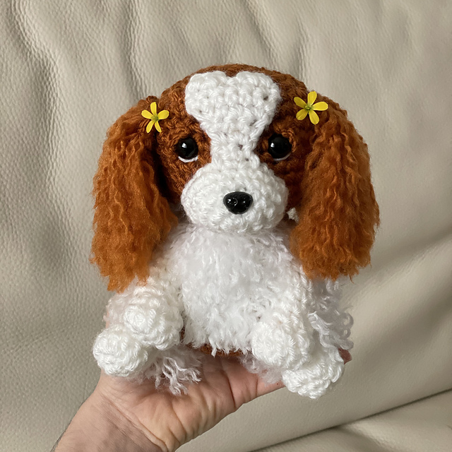 King Charles Cavalier