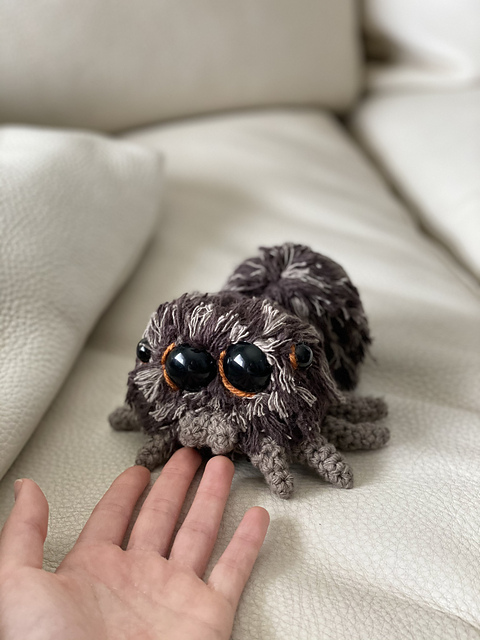 Baby Spider