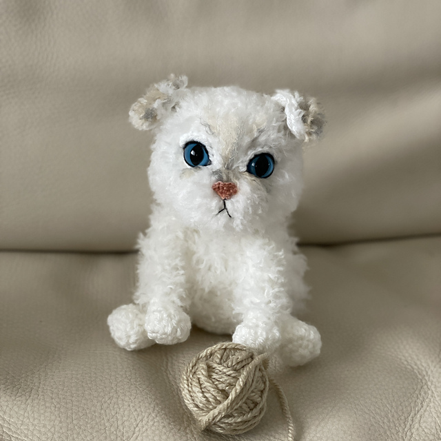 Scottish Fold White Cat