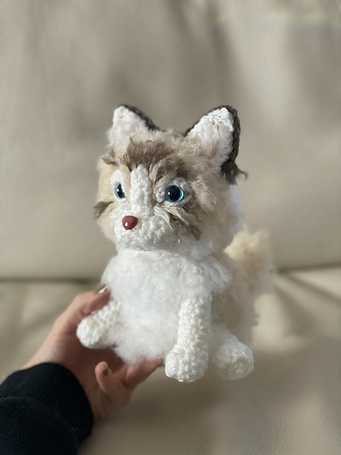 Fluffy Kitten
