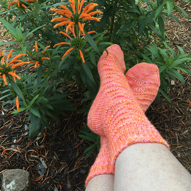 Daughter in the Garden Socks