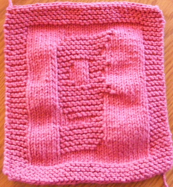 #9 Kasey Kahne dishcloth