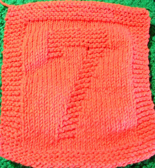 #7 Robby Gordon dishcloth