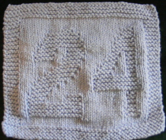 #24 Jeff Gordon dishcloth