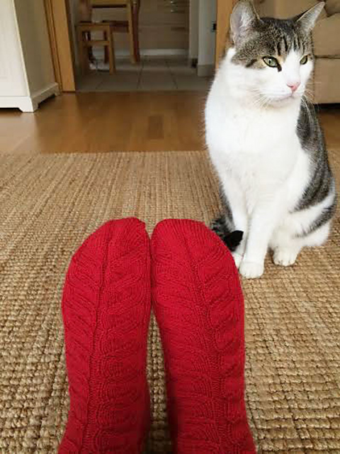 Moon in Aries Socks