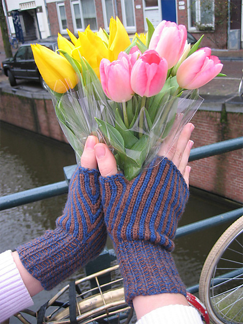 Fiets Hand Shoes