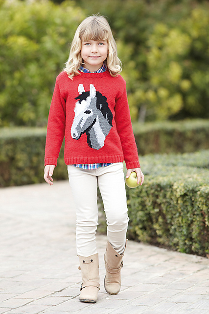 Mane Event sweater