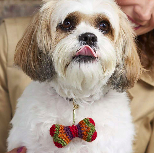 Doggy bone charm