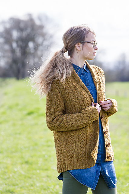 Ravelry: Migration pattern by Stacey Gerbman