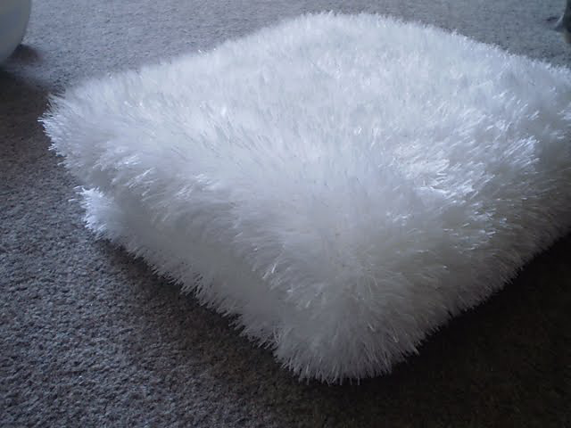 The Furry Blanket