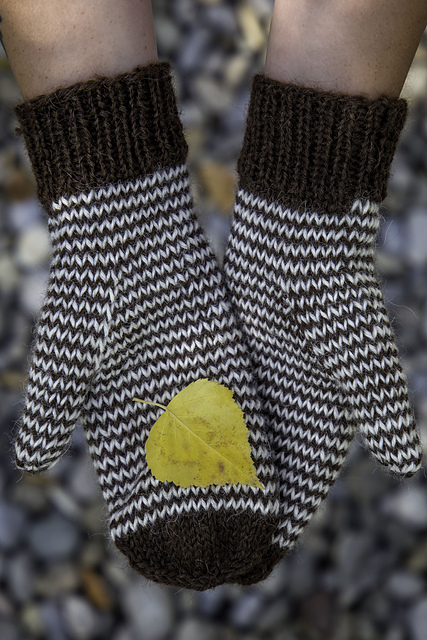 Single Stripe Mittens