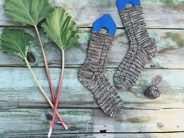 Rhubarb Stalk