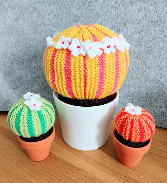 Stripy Ball Cacti