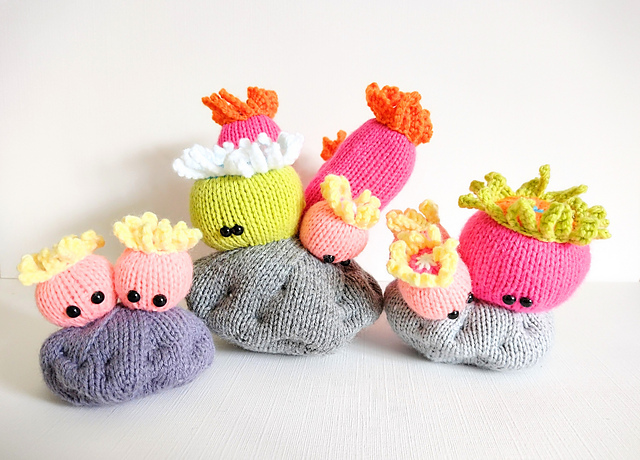 Sea Anemone Garden